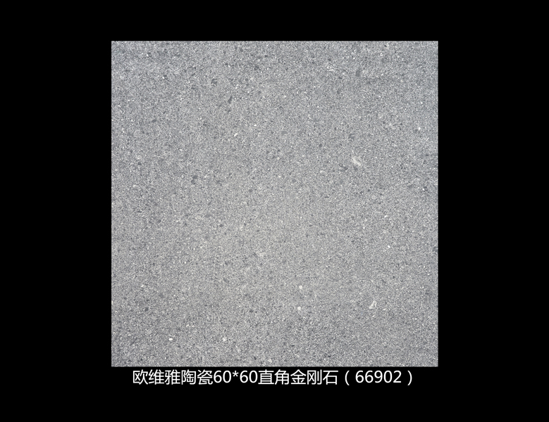 66902