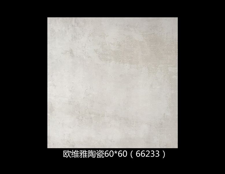 66233