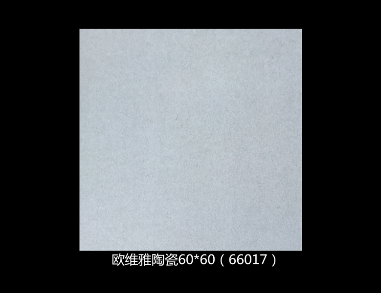 66017