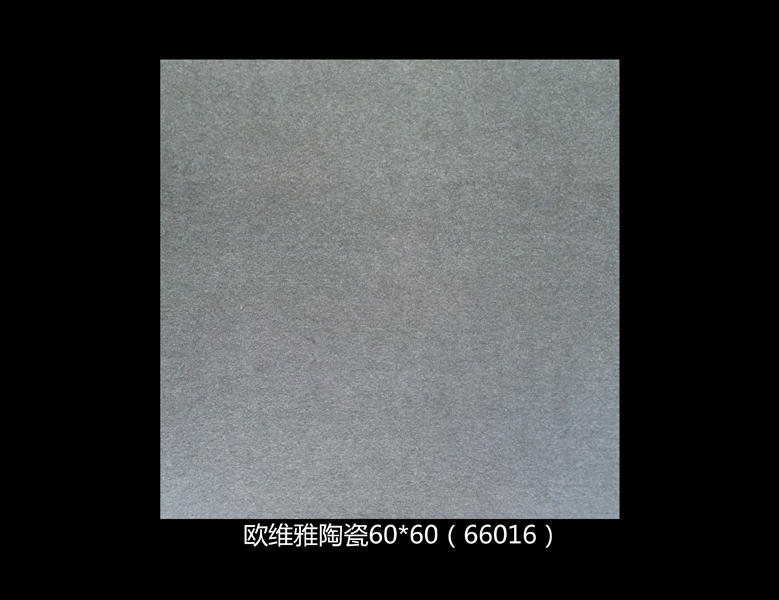66016