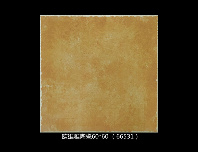 66531