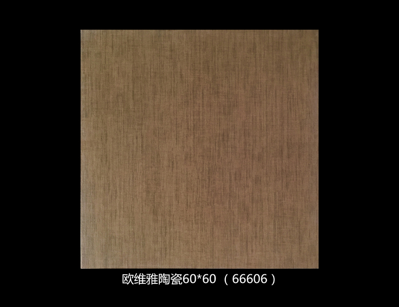 66606