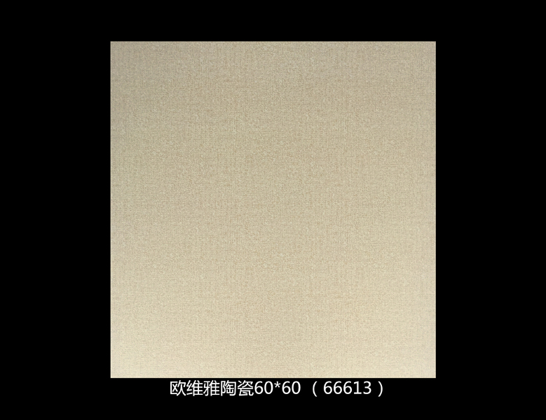 66613