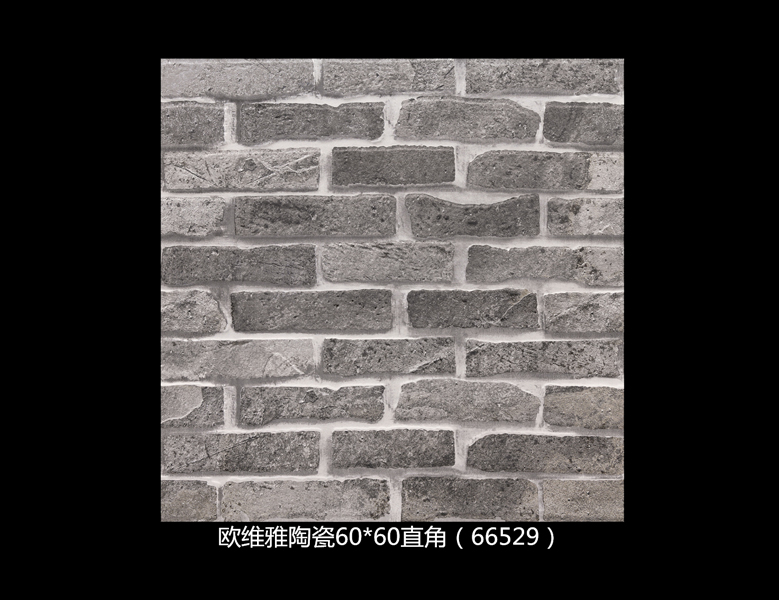 66529