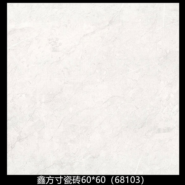 68103