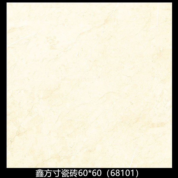 68101
