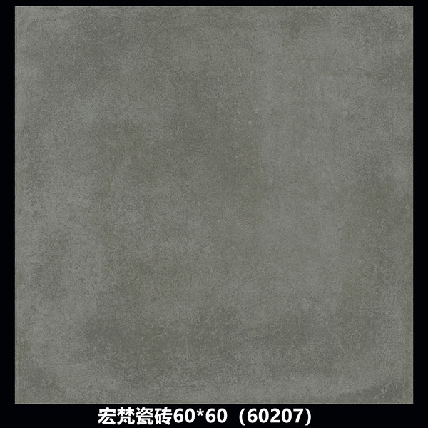 60207