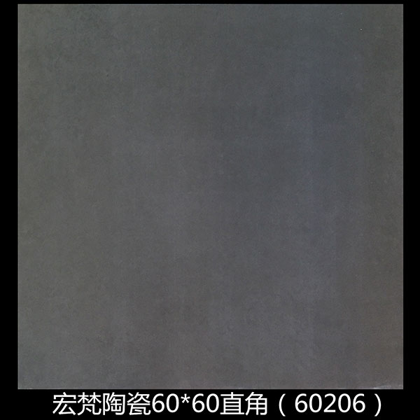 60206